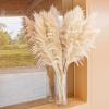 40" inch 10 Stems Natural Pampas Grass Decor Tall, pompas Grass, Tall Pampas Grass for Wedding, Party, Farmhouse, Boho Home Decor view 4