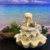 10.5" H Coral Reef Shell Fountain Indoor Fountain with LED Lights and Adjustable Motor Pump (Power Cord Attached) (Resin) view 2