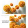 2PCS Artificial Plant Topiary Ball, Simulation Plant Grass Ball, Lifelike Plants Decor, for Home Garden Wedding Birthday Party Hanging Wall Decoration,Orange,30cm/11.81in view 4