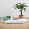 Creative Co-Op Decorative Paulownia Wood Tray, White view 2