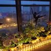 DUOFU365 Yellow Neon LED Strip Light, DC 12V 600 SMD2835 LED Neon Rope Lights,Upgraded 16.4ft/5m Led Light Strips Flexible Waterproof for Indoor/Outdoors Home Decoration/DIY(No Power Adapter) view 3