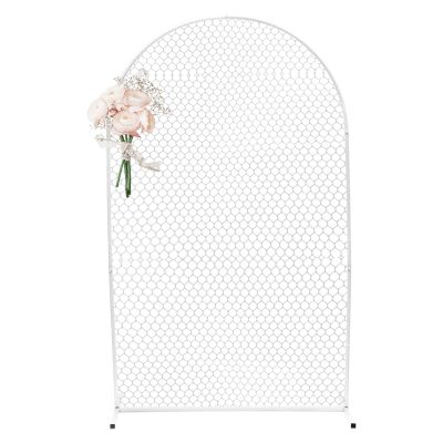 Fichiouy Modern Gold Wall Stand Wedding Arch Backdrop with Plastic Mesh, Wrought Iron Decorative Props Flower Decorative Rack 2M (White)