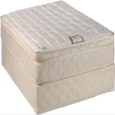 DS Solutions USA Tomorrow's Dream PillowTop (Eurotop) Twin Size Mattress Set with Bed Frame Included - Sleep System with Enhanced Cushion Support, Innerspring Coils, Orthopedic and Longlasting Comfort