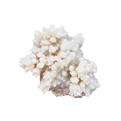 Natural Meditation Crystal 1 pcs 100g-580g Natural White Rock Stalactite Crystal Cluster, for Home Decoration Crystal Stone (Size : 1pcs 100g-150g)