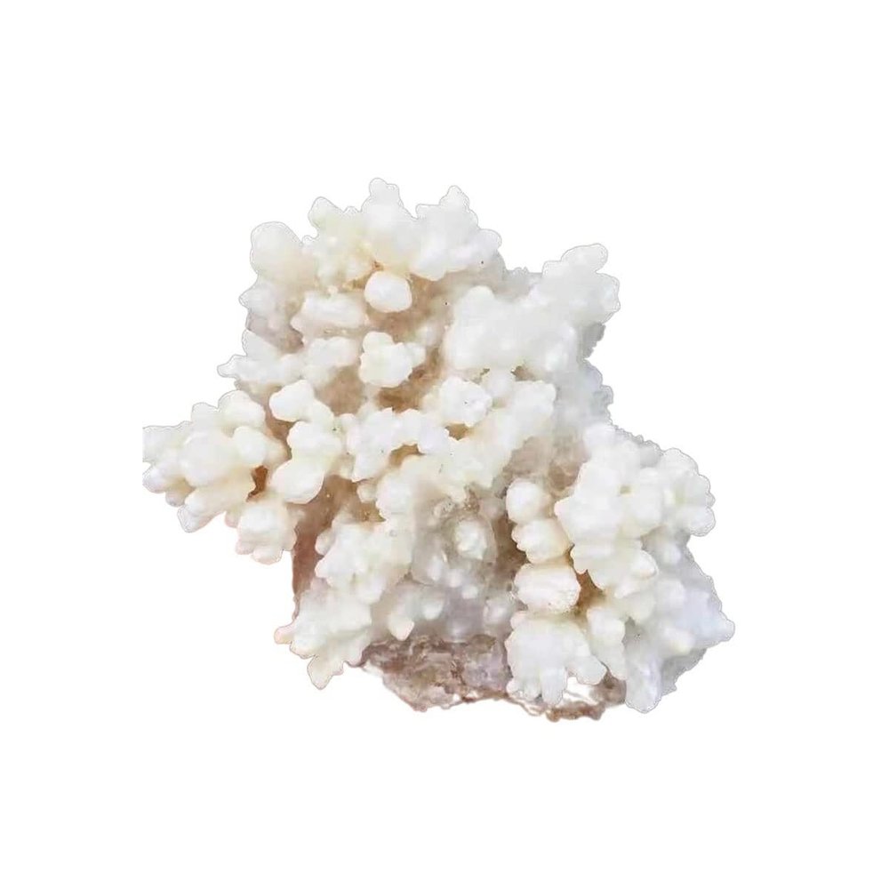 Natural Meditation Crystal 1 pcs 100g-580g Natural White Rock Stalactite Crystal Cluster, for Home Decoration Crystal Stone (Size : 1pcs 100g-150g)