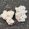 Natural Meditation Crystal 1 pcs 100g-580g Natural White Rock Stalactite Crystal Cluster, for Home Decoration Crystal Stone (Size : 1pcs 100g-150g) view 3