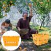 Shopping Basket With Handles : 16L Grocery Basket Plastic Stackable Hand for Retail Store Supermarket view 4