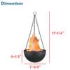 Aspen Creative 61168-02-1, Hanging Fire Flame Light Prop for Halloween, Christmas and Party Decor Black view 3