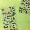 EVERGRN Holly THCKRS Phrase view 3