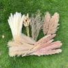 100Pcs Pampas Grass Boho Home Decor 17 inch Natural Dried Flowers-Pampas Grass Contains Bunny Tails White Pampas Brown Pampas.Boho Decor for Farmhouse Wedding Boho Wall Bathroom Office Kitchen view 1