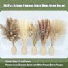 100Pcs Pampas Grass Boho Home Decor 17 inch Natural Dried Flowers-Pampas Grass Contains Bunny Tails White Pampas Brown Pampas.Boho Decor for Farmhouse Wedding Boho Wall Bathroom Office Kitchen view 2