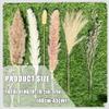100Pcs Pampas Grass Boho Home Decor 17 inch Natural Dried Flowers-Pampas Grass Contains Bunny Tails White Pampas Brown Pampas.Boho Decor for Farmhouse Wedding Boho Wall Bathroom Office Kitchen view 3