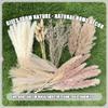 100Pcs Pampas Grass Boho Home Decor 17 inch Natural Dried Flowers-Pampas Grass Contains Bunny Tails White Pampas Brown Pampas.Boho Decor for Farmhouse Wedding Boho Wall Bathroom Office Kitchen view 4