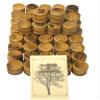3 ARCHES USA Olive Wood Communion Cups (50-Pack) - 1.1" Hand-Carved Cups from Bethlehem, Holy Land - Unique Chalices for Church, Ministry & Life Events with Certificate of Origin view 1