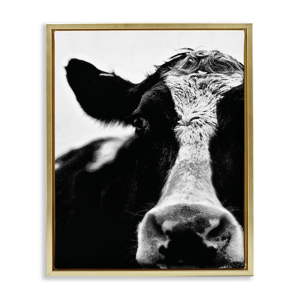 Stupell Industries Cow Black And White Close Up, Design by Lettered and Lined
