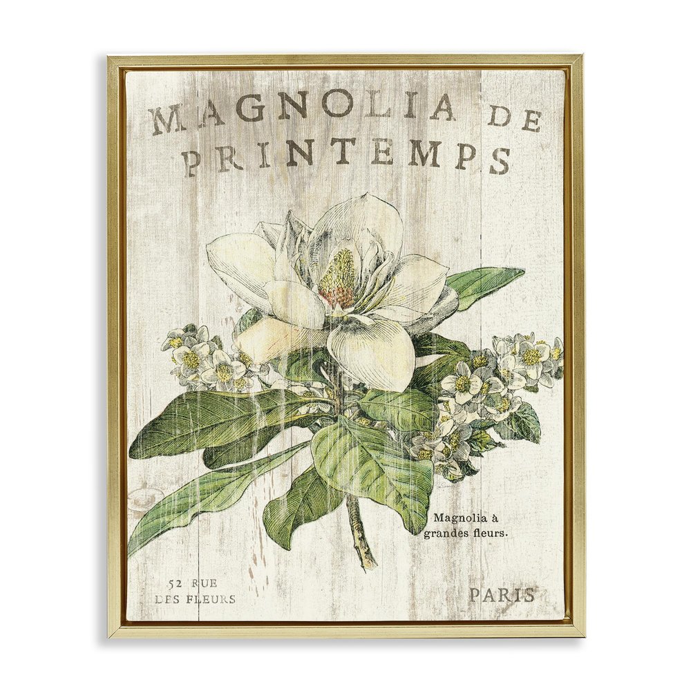 Stupell Industries French Magnolias In Spring, Design by Sue Schlabach