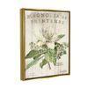 Stupell Industries French Magnolias In Spring, Design by Sue Schlabach view 2