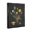 Stupell Industries Botanical Drawing Dandelion On Black Design, Design by Lettered and Lined, Multi-Color, 16 x 20 view 2