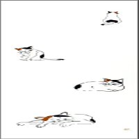  Anbo Tenugui Hand Towel, MIKENEKO, Calico cat, 100% Cotton, Made in Japan, 13.8 x 39.4 inches
