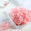 15-20g Hydrangea Dried Flower Natural Preserved Flower Dried Leaf Head Pendant Necklace DIY Material Accessories (Pink) view 1
