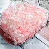 15-20g Hydrangea Dried Flower Natural Preserved Flower Dried Leaf Head Pendant Necklace DIY Material Accessories (Pink) view 3