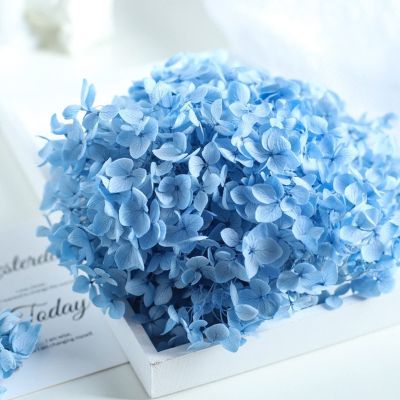 15-20g Hydrangea Dried Flower Natural Preserved Flower Dried Leaf Head Pendant Necklace DIY Material Accessories (Blue)