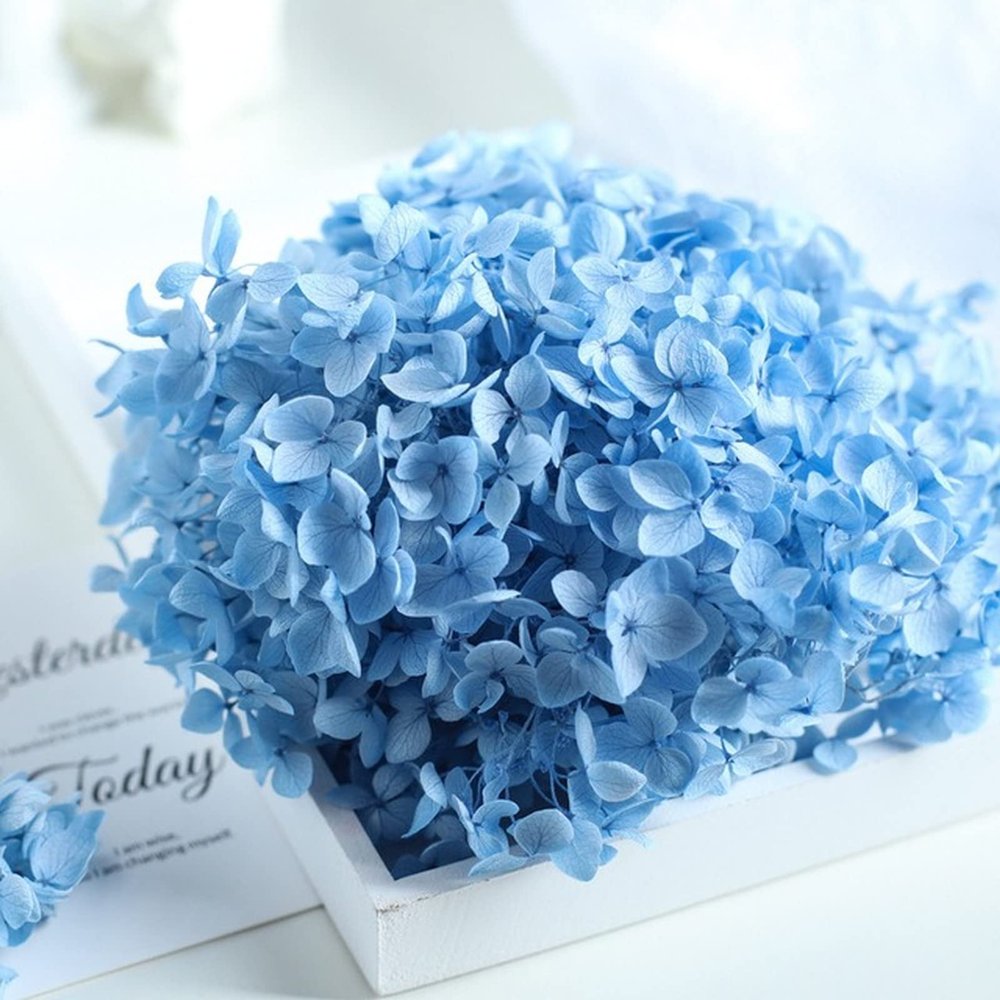 15-20g Hydrangea Dried Flower Natural Preserved Flower Dried Leaf Head Pendant Necklace DIY Material Accessories (Blue)