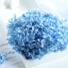 15-20g Hydrangea Dried Flower Natural Preserved Flower Dried Leaf Head Pendant Necklace DIY Material Accessories (Blue) view 1