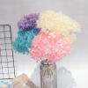 15-20g Hydrangea Dried Flower Natural Preserved Flower Dried Leaf Head Pendant Necklace DIY Material Accessories (Blue) view 2