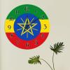Ethiopia Country Souvenir Wall Clock Ethiopia Flag Wall Clocks Battery Operated Silent 15inch Round Wall Clock Country Tuscan Style National Flag Wall Clocks for Living Room Bedroom view 4