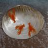 Giant Clam Shell for Display 8 to 10 inch - SS-178 view 4
