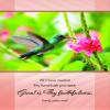 All Occasion - Heavenly Hymns, (KJV) - Box of 12 - Assorted Boxed Greeting Cards view 3