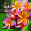 Warner Press Card-Boxed-Healing Thoughts Assorted Get Well (KJV) (Box Of 12) view 2
