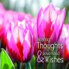 Warner Press Card-Boxed-Healing Thoughts Assorted Get Well (KJV) (Box Of 12) view 3