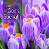 Warner Press Card-Boxed-Healing Thoughts Assorted Get Well (KJV) (Box Of 12) view 4