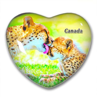 CanadaTorontoToronto Zoo Fridge Magnets Sticker Kitchen Refrigerator Decoration Magnet Gift Heart Shape