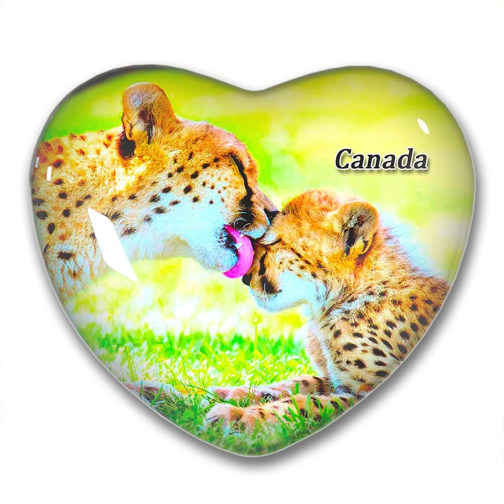 CanadaTorontoToronto Zoo Fridge Magnets Sticker Kitchen Refrigerator Decoration Magnet Gift Heart Shape