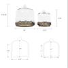 12" Tall Large Sturdy Handmade Glass Cloche Dome with Metal Base 11.4" H x 8" and 8" H x 5.5" in Set of 2 in Gold for Plant, Terrarium, Collectibles, Candle. Cloche Glass Dome, Bell Jar Display Case view 3
