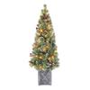5 ft Pre-lit Potted Vancouver Pine Tree, 288 Tips, 70 UL Clear Incandescent Lights, Pine Cones, Berries view 1
