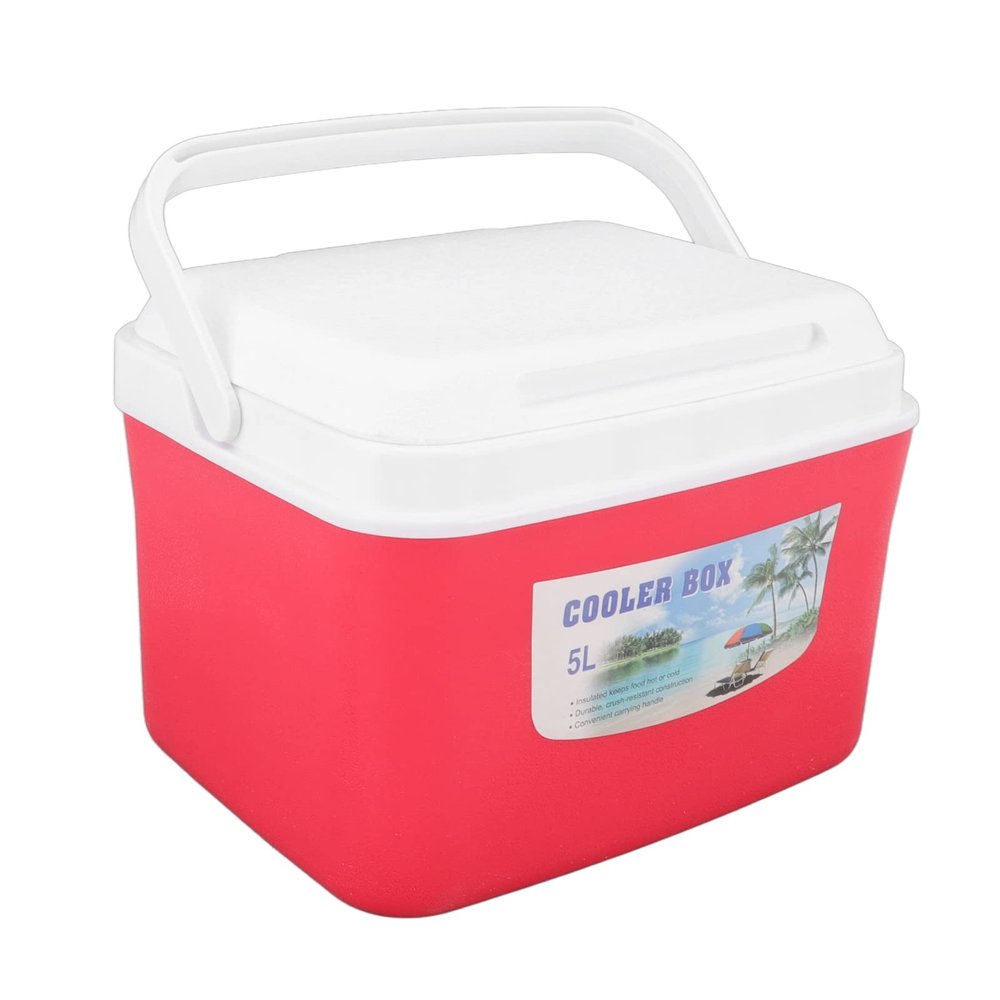 5L Portable Thermoelectric Cooler/Warmer, Portable Electric Cooler Warmer Mini Constant Temp Car Refrigerator with Handle for Car, Camping, Barbecue, Fishing, Picnic, with 5 Ice