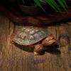 Copper Turtle Figurines Antique Crafts,Metal Brass Animal Tortoise Statue,Tea Pet Table Ornament Home Sand Table Decor Accessories Study Paperweight view 1