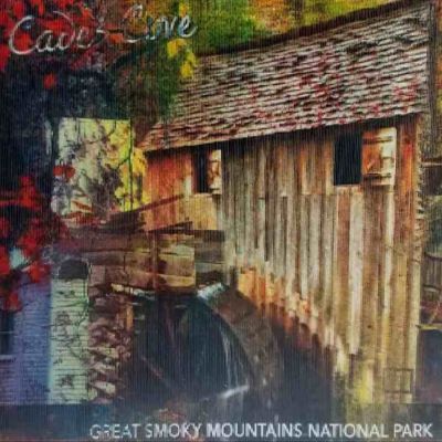 Cades Cove Great Smoky Mountains National Park 3D Fridge Magnet