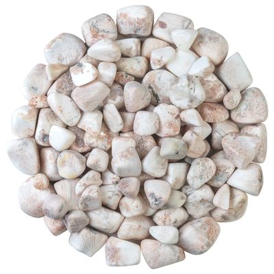 ZAICUS 1lb Scolecite Tumbled Stones | Polished Crystals Healing | Natural Stones | Feng Shui | Chakra Balancing | Good Luck | Reiki Gift | Home Decor | Size 20-25 mm