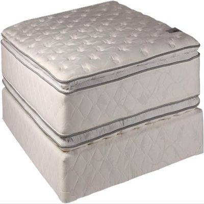 DS Solutions USA Princess Two-Sided Queen Gentle Plush PillowTop Mattress and Box Spring Set - Fully Assembled, Orthopedic, Sleep System with Enhanced Cushion Support, Longlasting