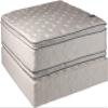DS Solutions USA Princess Two-Sided Queen Gentle Plush PillowTop Mattress and Box Spring Set - Fully Assembled, Orthopedic, Sleep System with Enhanced Cushion Support, Longlasting view 1