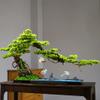 Artificial Plants Artificial Bonsai Tree Chinese Simulation Tree White Ceramic Crane Ceramic Rockery and Blue Fine Sand Used for Living Room and Office Decoration Bonsai Pine Tree view 4