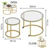 aboxoo Gold Nesting Coffee Table Set of 2, Small Glass Round Nesting Tables for Living Room Bedroom, Accent Tea Table with Metal Frame Modern Industrial Simple view 3