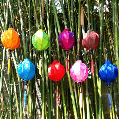 Vietnames Silk Lanterns - 22cm - 3D Printed Flowers Lanterns - Garden Decor - Wedding Party Decorative (Round_Mixed of Color 2)