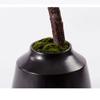 moisture Faux Bonsai Simulation Bonsai Artificial Green Plant Fake Bonsai Moss Ceramic Flower Pot Living Room Tea Room and Office Decoration Desktop Potted Tree (Color : Black) view 4