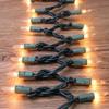 GLOWNOVA Green Wire,Clear Incandescent Bulb 300 Mini String Lights for Indoor Christmas Tree Garland Birthday Wedding Party Festival Decoration view 2